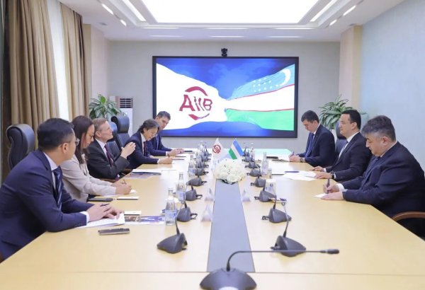 AIIB's vice president highlights projects underway in Uzbekistan