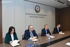 Обсуждены вопросы сотрудничества между Азербайджаном и IRENA в рамках COP29 (ФОТО)