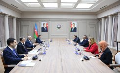 Али Асадов провел обсуждения с гендиректором ВОЗ (ФОТО)