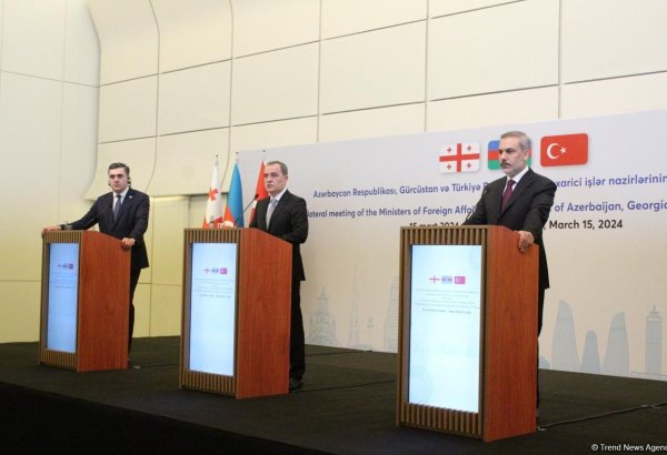 Text of Baku Declaration made public