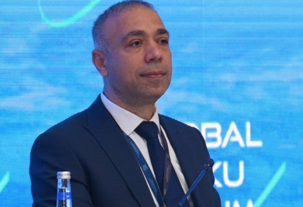COP29 - крупнейшее мероприятие в истории Азербайджана - Эльнур Солтанов