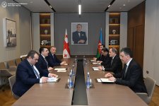 Azerbaijani FM discusses regional situation with Georgian counterpart (PHOTO)