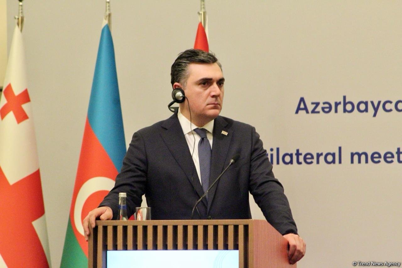 Georgia enjoys exemplary relations with Azerbaijan and Türkiye - Georgian FM