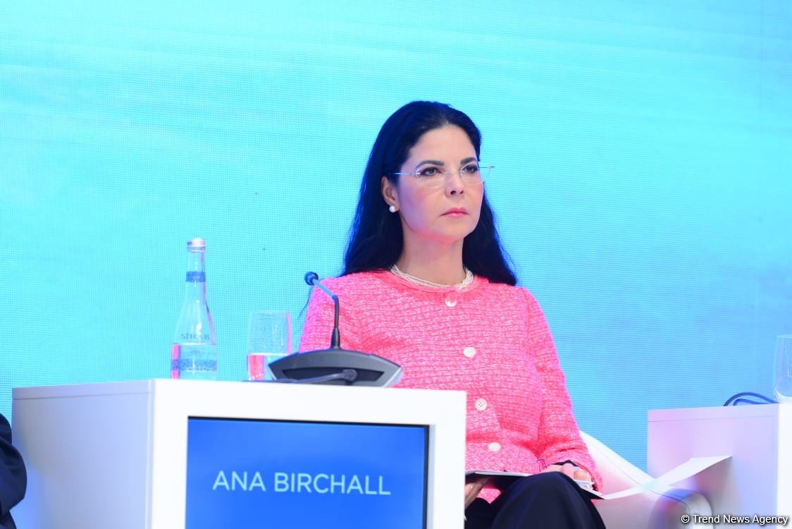 President Ilham Aliyev's re-election indicates people's trust in him - Ana Birchall