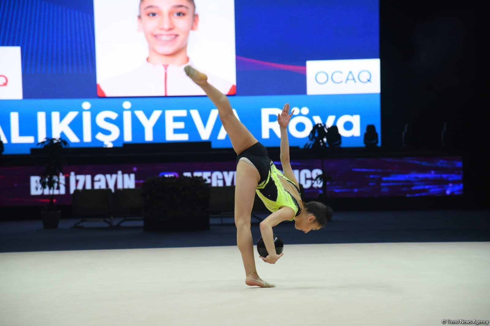 29th Azerbaijan Championship in Rhythmic Gymnastics kicks off in Baku  (PHOTO)