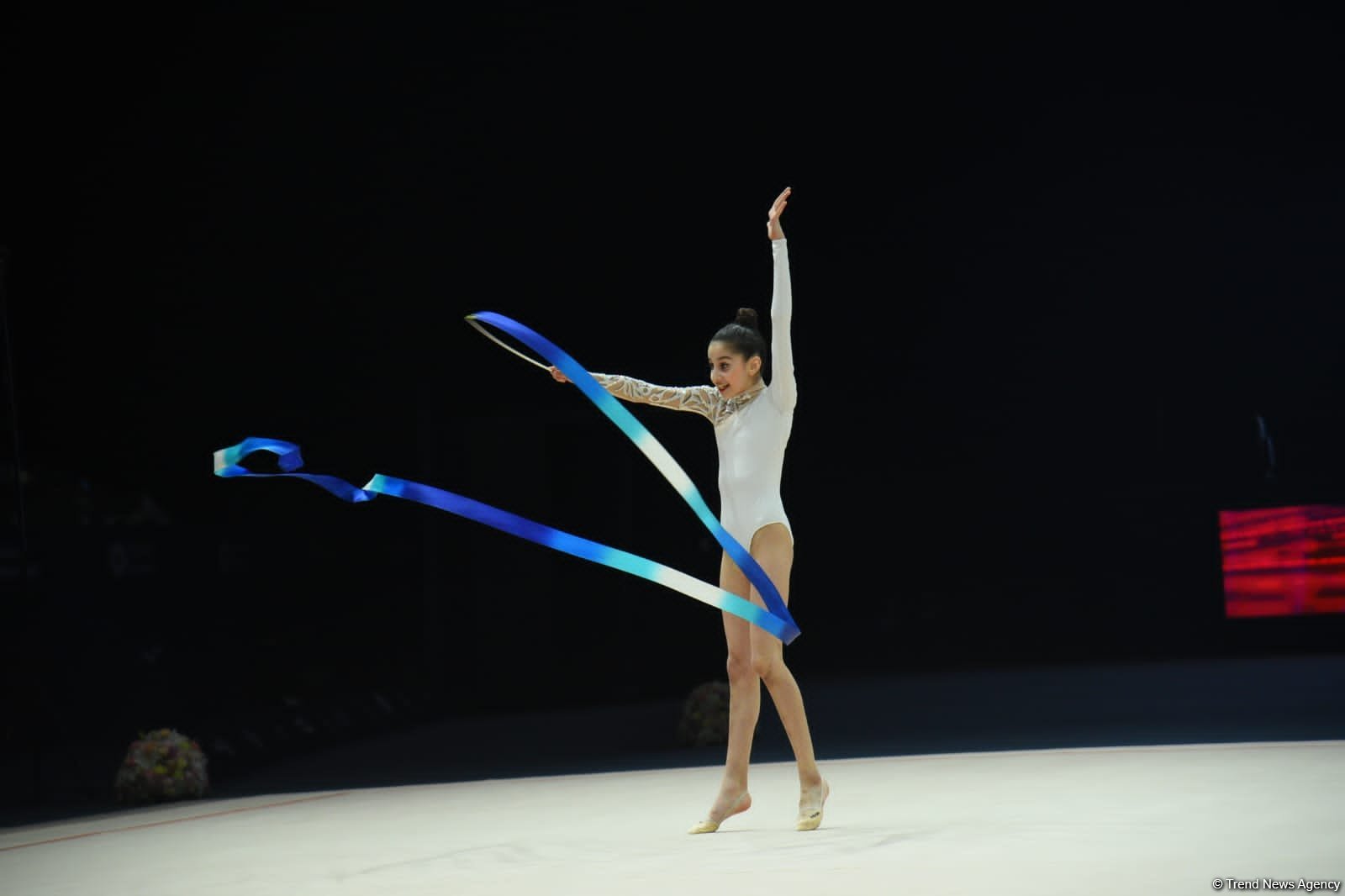 29th Azerbaijan Championship in Rhythmic Gymnastics kicks off in Baku  (PHOTO)