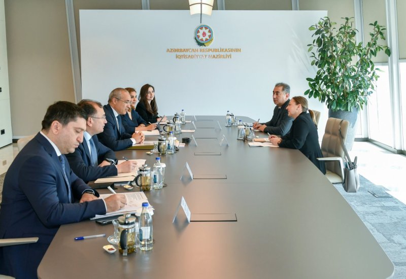 Азербайджан и ПРООН обсудили возможности для партнерства в рамках COP29 (ФОТО)