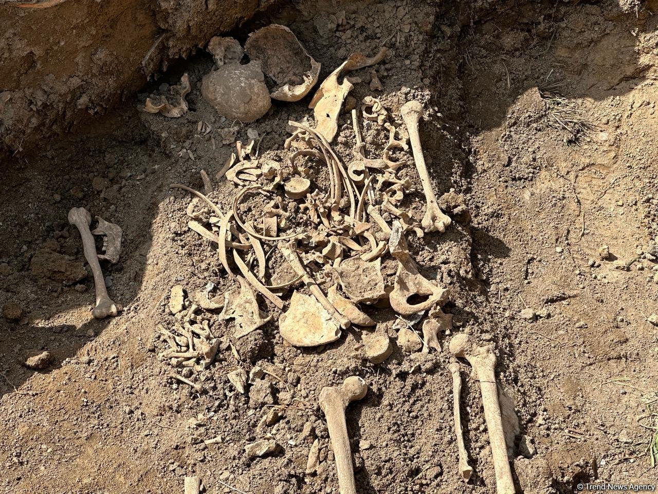 Кадры с места обнаружения человеческих останков в Ходжалы (ФОТО)