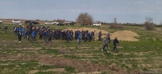 В Карабахе прошла акция по посадке деревьев в честь Дня просвещения о минах (ФОТО)