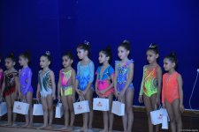 В Баку стартовал второй день соревнований Открытого первенства клуба "Оджаг Спорт" по художественной гимнастике (ФОТО)