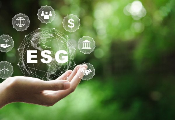 Фонд развития предпринимательства разработал собственную ESG модель - председатель (Эксклюзив)