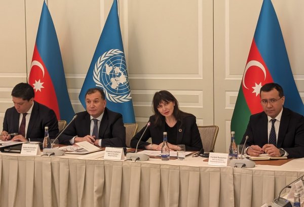 ООН в 2023 году инвестировала свыше $34 млн в совместные мероприятия с Азербайджаном - Владанка Андреева