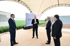 Президент Ильхам Алиев ознакомился с комплексом установок для подачи оросительной воды на принадлежащий ООО «Agro Dairy» земельный участок в Гаджигабуле (ВИДЕО/ФОТО)