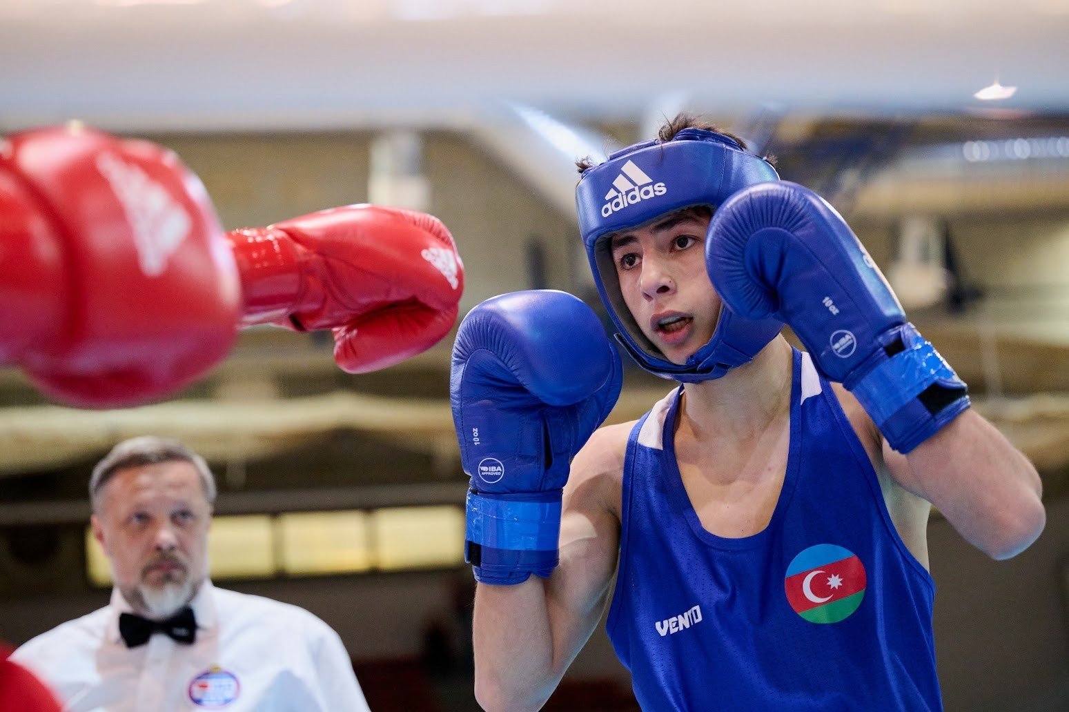 Азербайджанские боксеры вышли в полуфинал чемпионата Европы
