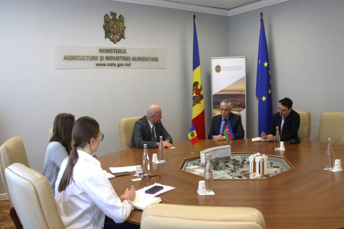 Azerbaijan, Moldova discuss cooperation expansion (PHOTO)
