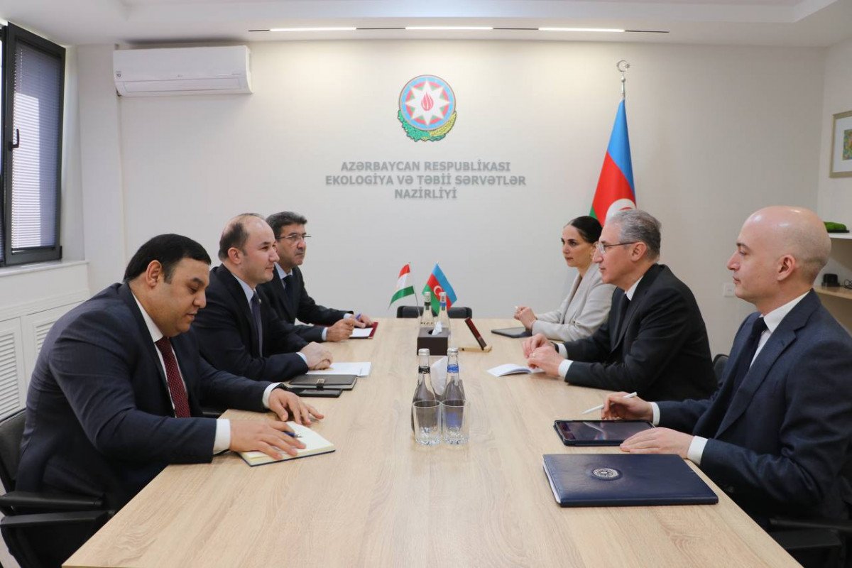 Azerbaijan, Tajikistan discuss cooperation within COP29