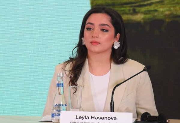 Climate Champion for Azerbaijan spotlights youth activities at COP29