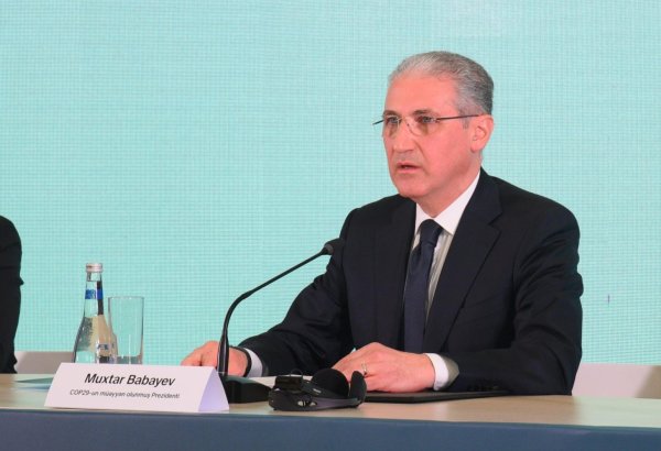 Azerbaijan to set example for other oil, gas nations - COP29 president