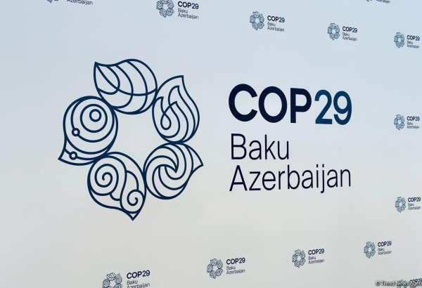 Для поддержки Азербайджана в процессе COP29 в ООН создана специальная рабочая группа