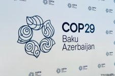 COP29-un loqosu təqdim olundu (FOTO)