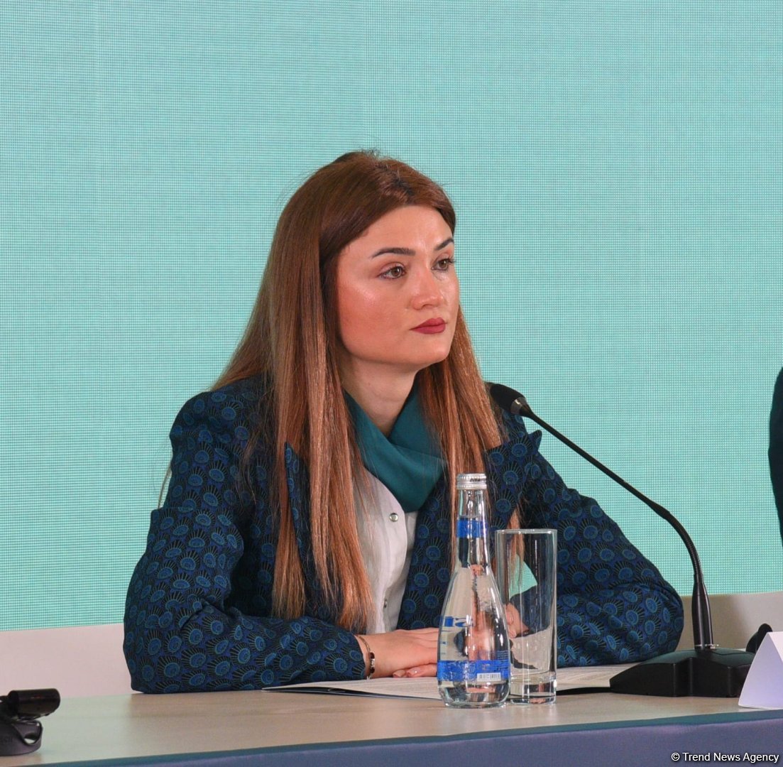 По количеству участников и масштабу COP29 станет крупнейшим мероприятием, которое проведет Азербайджан - Нармин Джарчалова