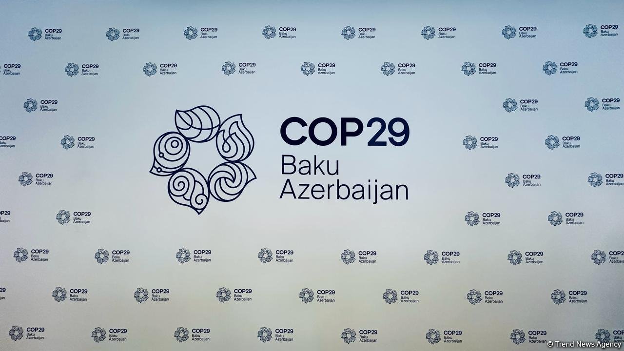 Azerbaijan unveils COP29 logo (PHOTO)