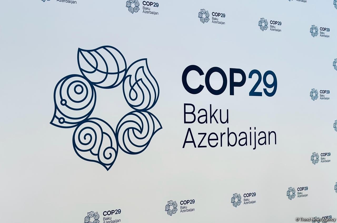 АБР уже инициировал техническую помошь Азербайджану для COP29 - гендиректор
