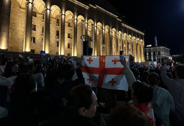 Gürcüstan polisi parlament binasının ətrafında etirazçılara qarşı rezin güllələrdən istifadə edib (VİDEO)