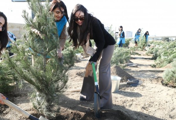 При участии вице-президента Фонда Гейдара Алиева Лейлы Алиевой в Низаминском районе Баку прошла акция по посадке деревьев (ФОТО)