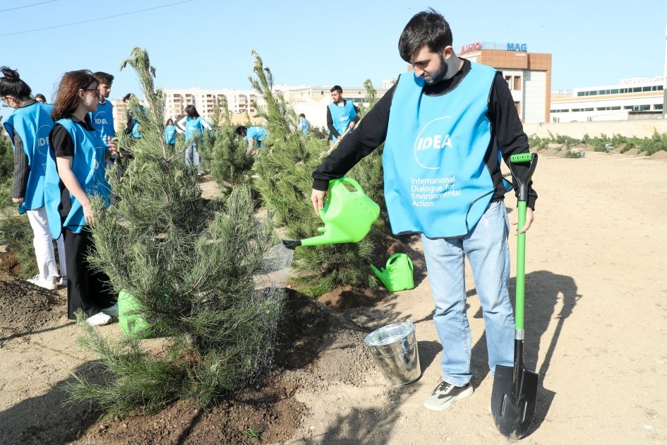 Tree planting action passes in Nizami district of Baku with participation of Vice President of Heydar Aliyev Foundation Leyla Aliyeva (PHOTO)