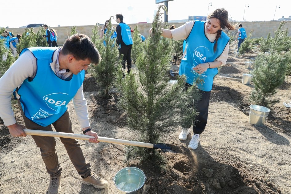 При участии вице-президента Фонда Гейдара Алиева Лейлы Алиевой в Низаминском районе Баку прошла акция по посадке деревьев (ФОТО)