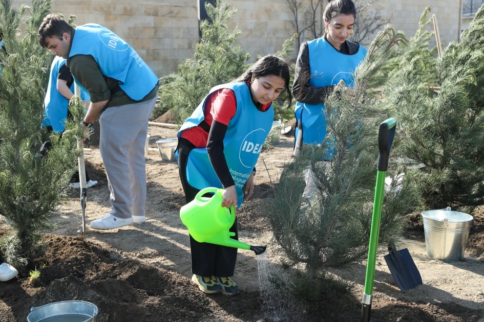 Tree planting action passes in Nizami district of Baku with participation of Vice President of Heydar Aliyev Foundation Leyla Aliyeva (PHOTO)