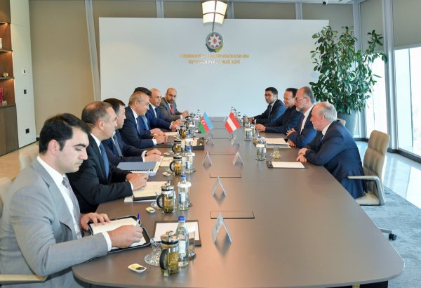 Азербайджан и Австрия обсудили возможности реализации совместных промышленных проектов (ФОТО)