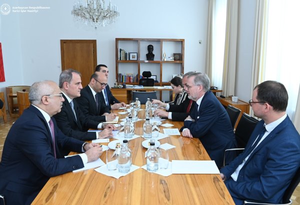 Azerbaijani FM reviews COP29 to-dos with Czech PM (PHOTO)
