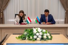 Названы главные темы прошедшего в Баку заседания рабочей группы Азербайджана и Венгрии по энергетике (ФОТО)