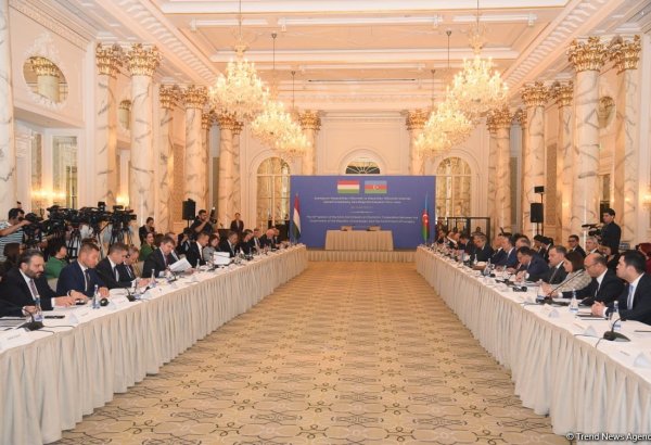 Azerbaijan, Hungary hold meeting on economic cooperation (PHOTO)