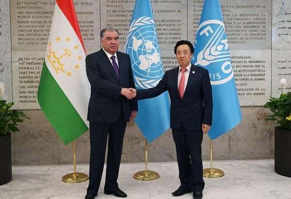 Tajikistan, FAO discuss development of agricultural collaboration