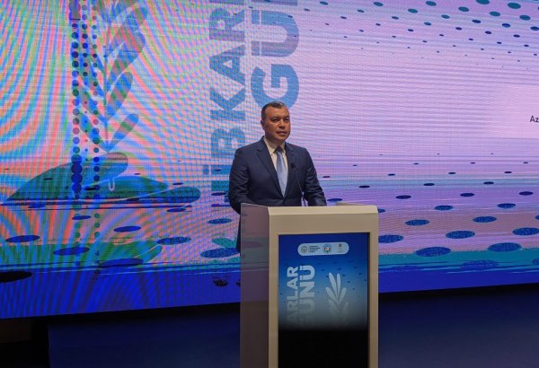 За последние 5 лет в Азербайджане реализованы 4 пакета социальных реформ - Сахиль Бабаев