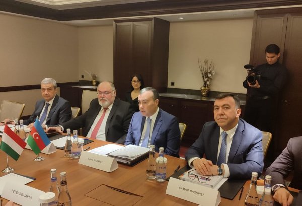 Инвестиции венгерских компаний в экономику Азербайджана превысили 1 млрд долларов - замминистра