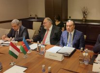 В Баку проходит 10-е заседание комиссии по экономическому сотрудничеству между Азербайджаном и Венгрией (ФОТО)