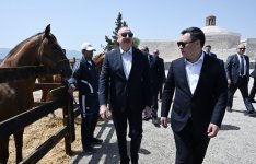 Prezident İlham Əliyev Sadır Japarova Qarabağ atı hədiyyə etdi (FOTO)