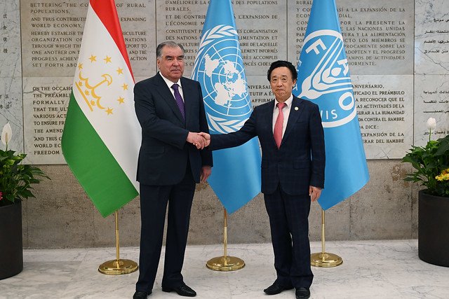 Tajikistan, FAO discuss development of agricultural collaboration