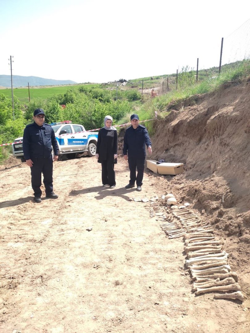Another two human remains found in Azerbaijan's Malibeyli during excavation works (PHOTO)