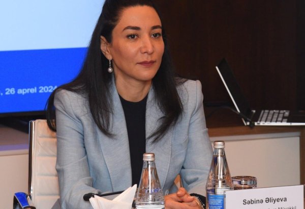 Azerbaijani Ombudsperson's purview includes protecting intellectual property rights - official