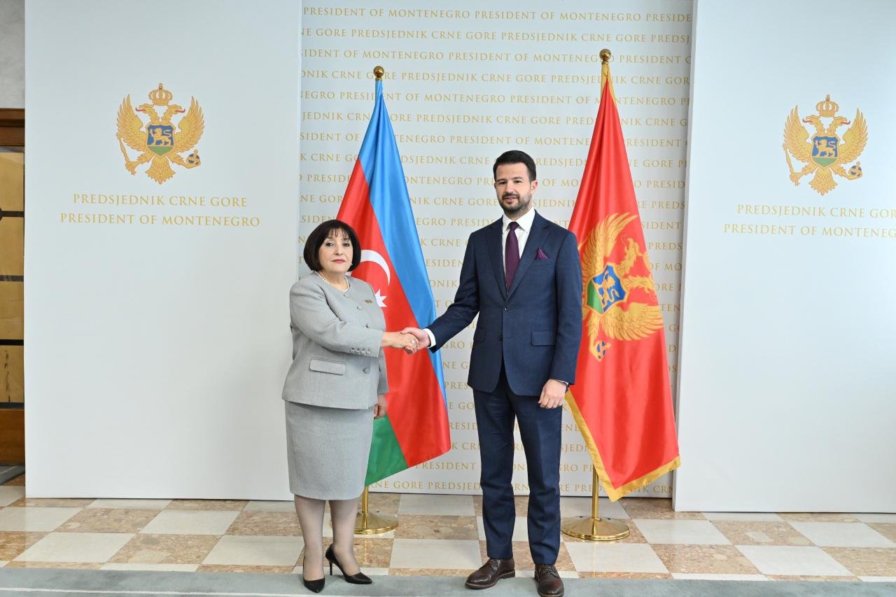 Azerbaijani parliament's head invites Montenegro's president to COP29 (PHOTO)