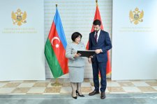 Azerbaijani parliament's head invites Montenegro's president to COP29 (PHOTO)