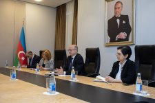 UNDP keen to cooperate with Azerbaijan in all areas of green economy