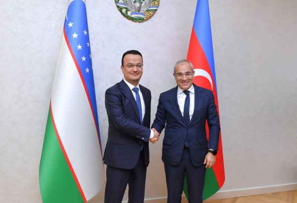 Азербайджан и Узбекистан обсудили перспективы совместной деятельности в энергетическом секторе (ФОТО)