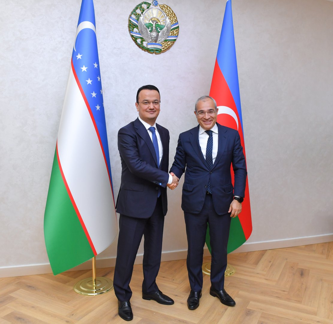 Азербайджан и Узбекистан обсудили перспективы совместной деятельности в энергетическом секторе (ФОТО)
