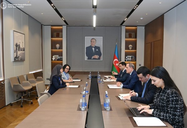 Azerbaijani FM updates ASEAN IPA's SecGen on preparations for COP29